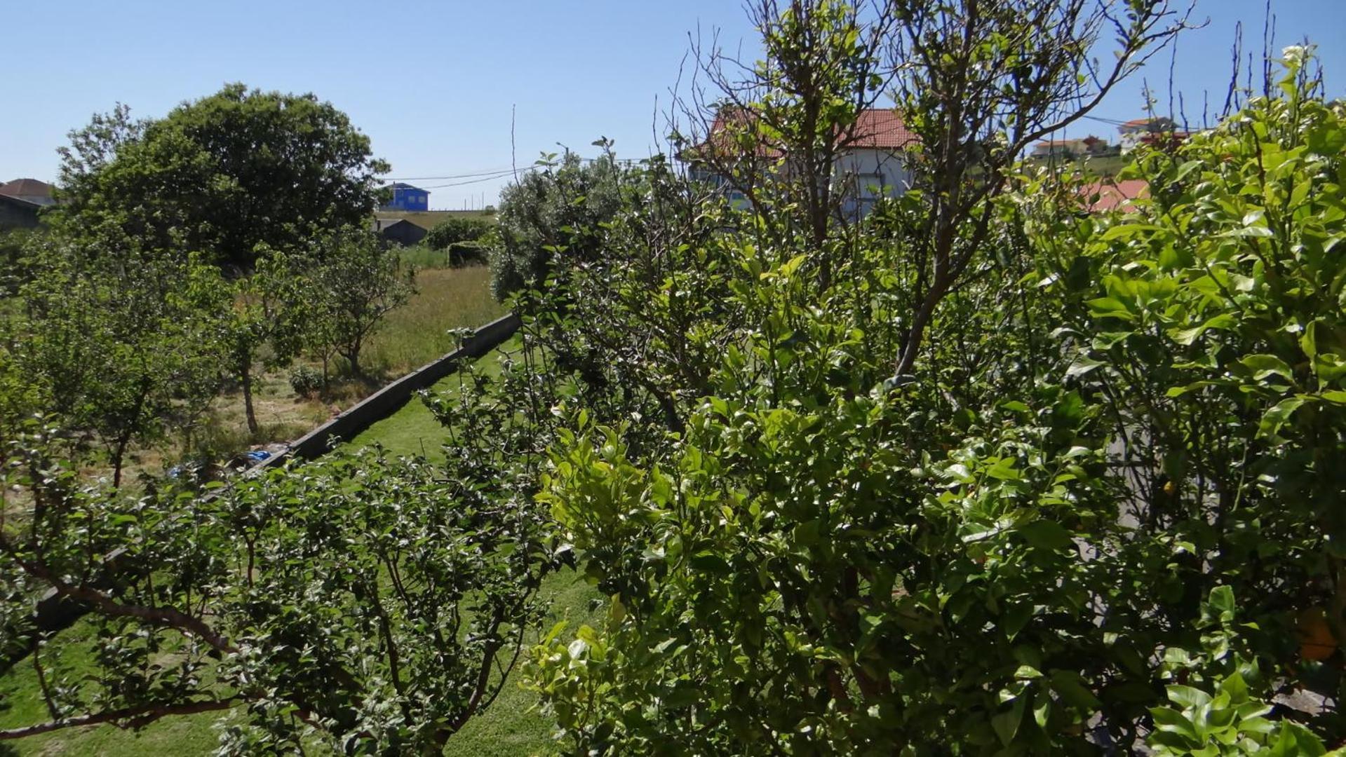 Casa De Lolo En Larino Villa Carnota Eksteriør bilde